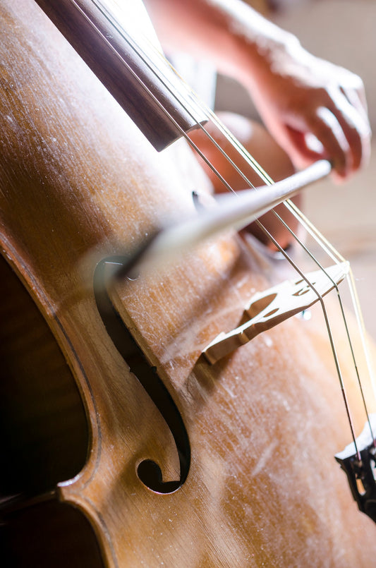 A visit to the art of violin craftsmanship